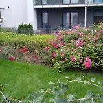 Vienna Studio Cracow Apartment